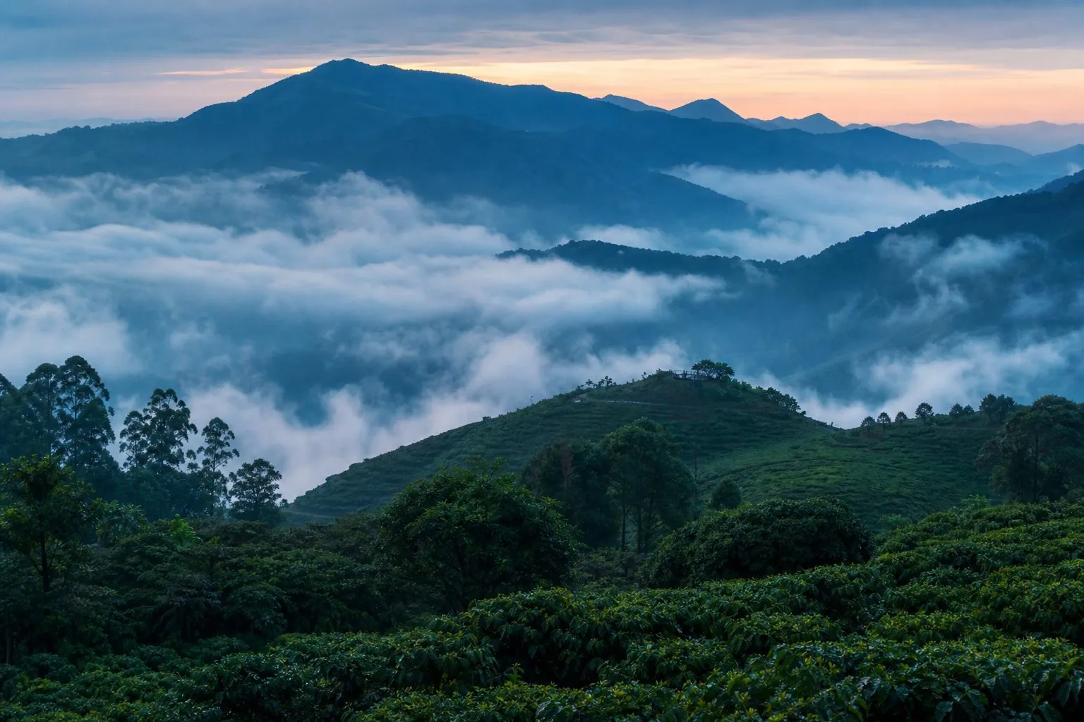 Misty forested hills in Wayanad, northern Kerala